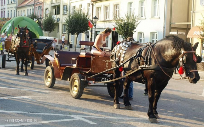 Święto Wina w Mieście Skarbów
