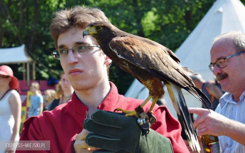 Turniej rycerski w Wojnowicach