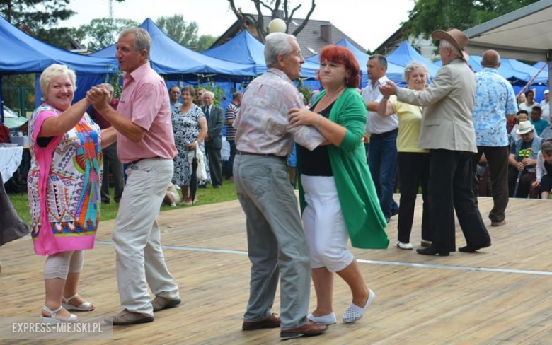 Festiwal muzyczny w Środzie Śląskiej