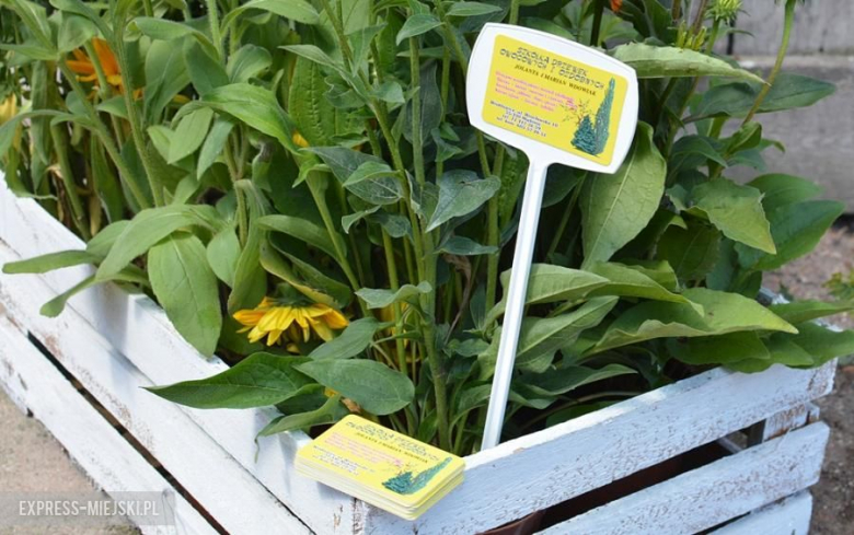 Plener malarski w Gałowie