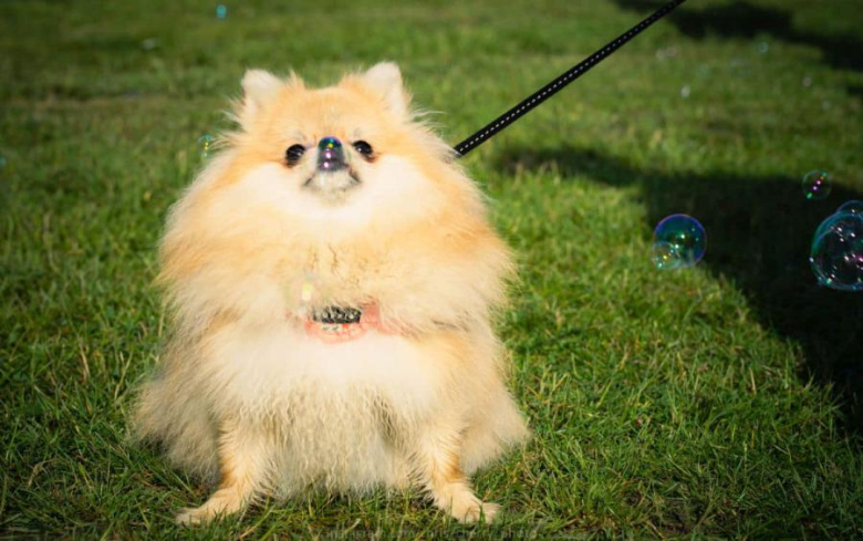 Dzień Dziecka w Piotrowicach