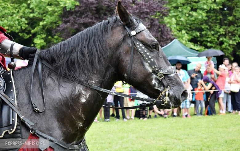 Turniej rycerski w Wojnowicach