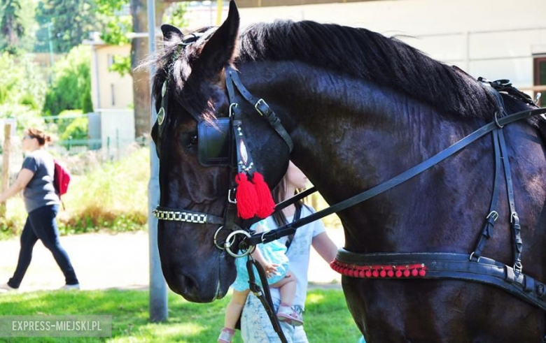 Gminny Dzień Dziecka w Środzie Śląskiej