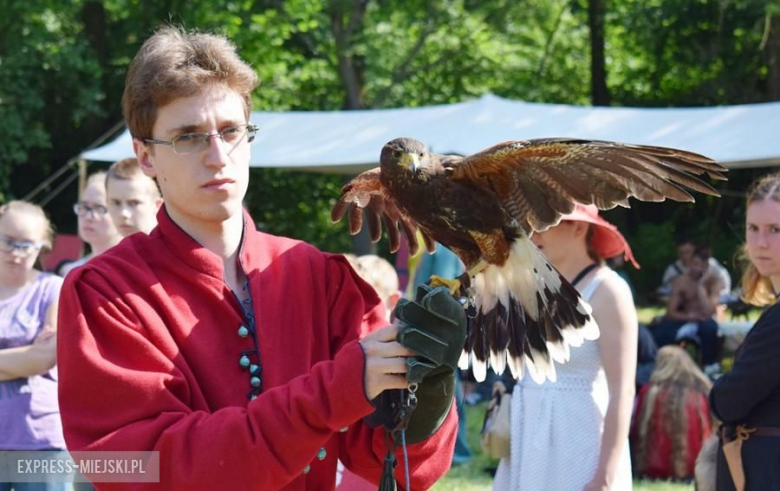 Turniej rycerski w Wojnowicach