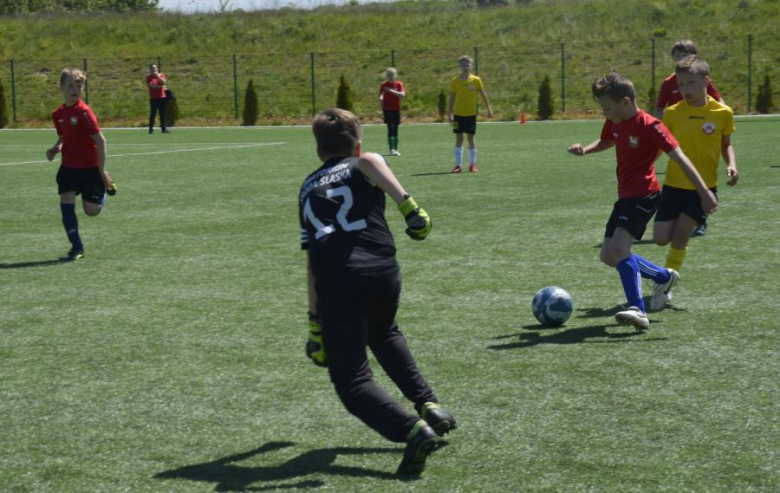 Memoriał Janusza Borowego