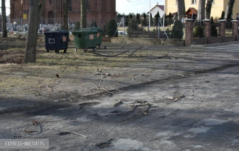 Powalone drzewo koło Karczyc