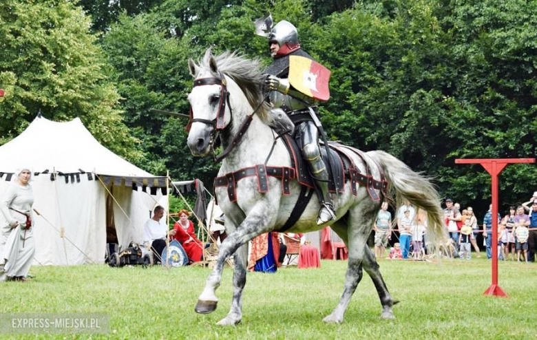 Turniej rycerski w Wojnowicach