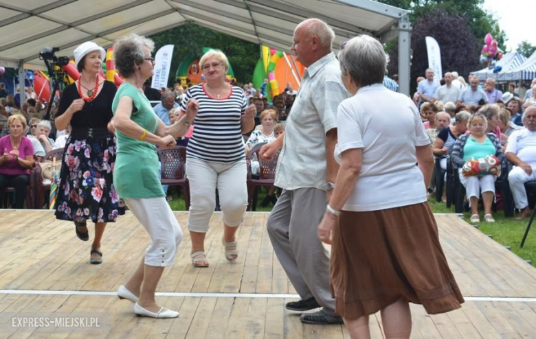 Festiwal muzyczny w Środzie Śląskiej
