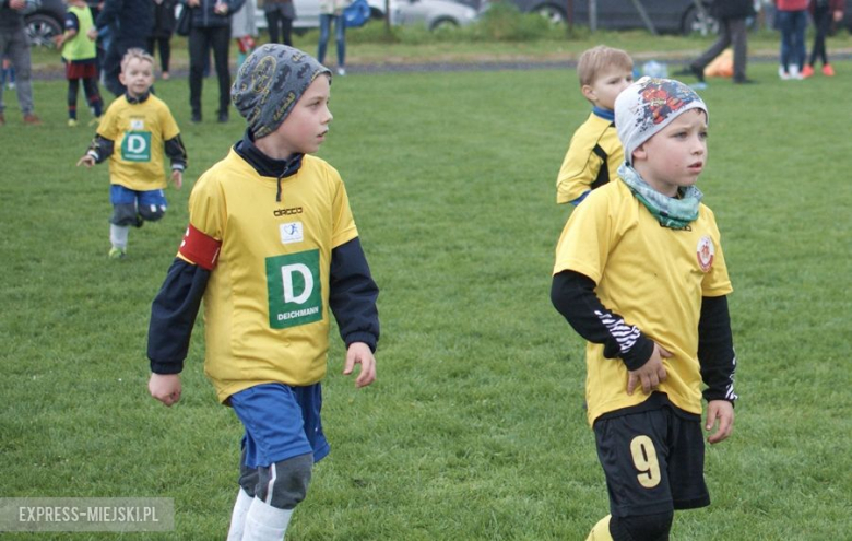 Gotec Cup 2017 w Rakoszycach