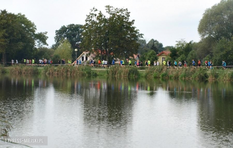 I bieg o Skarb Średzki