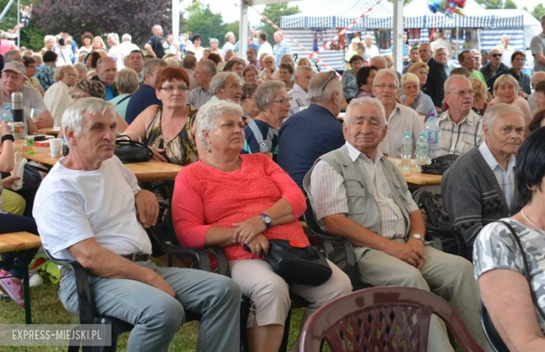 Festiwal muzyczny w Środzie Śląskiej