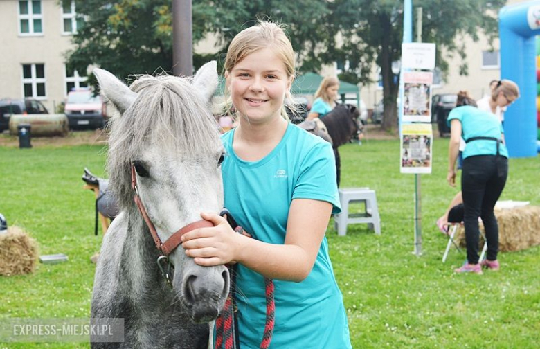 Gminne dożynki w Kostomłotach