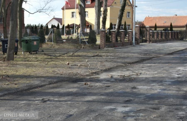 Powalone drzewo koło Karczyc