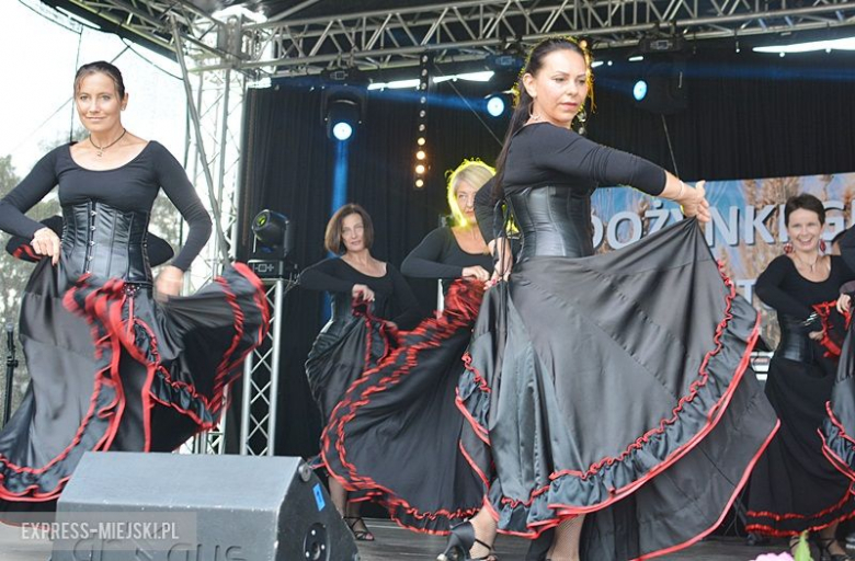 Gminne dożynki w Kostomłotach