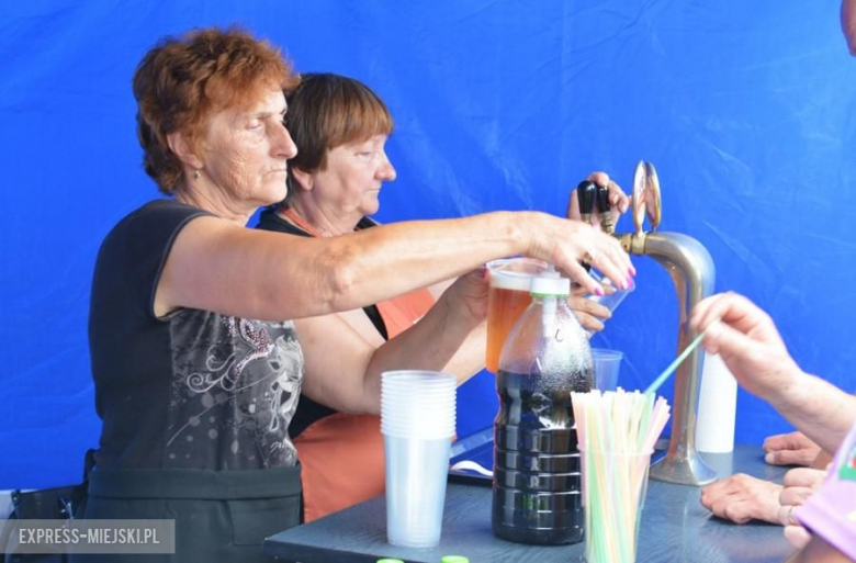 Festiwal muzyczny w Środzie Śląskiej