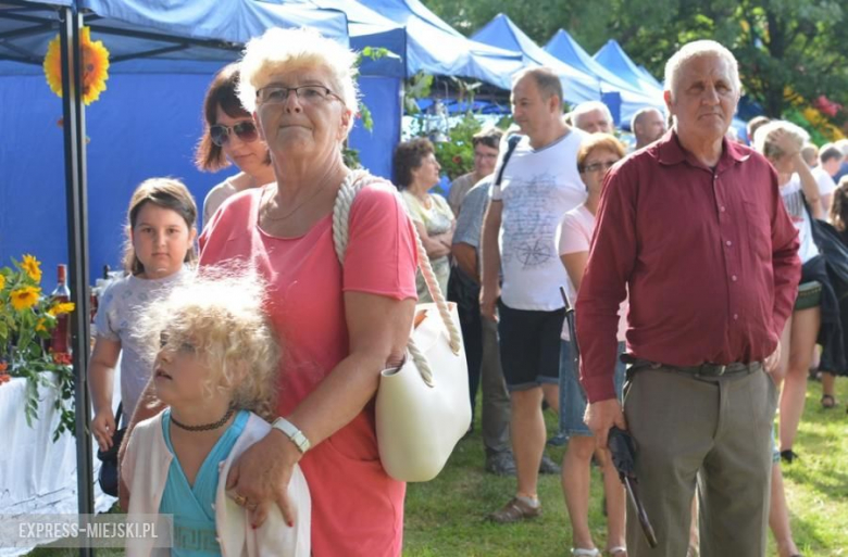 Festiwal muzyczny w Środzie Śląskiej