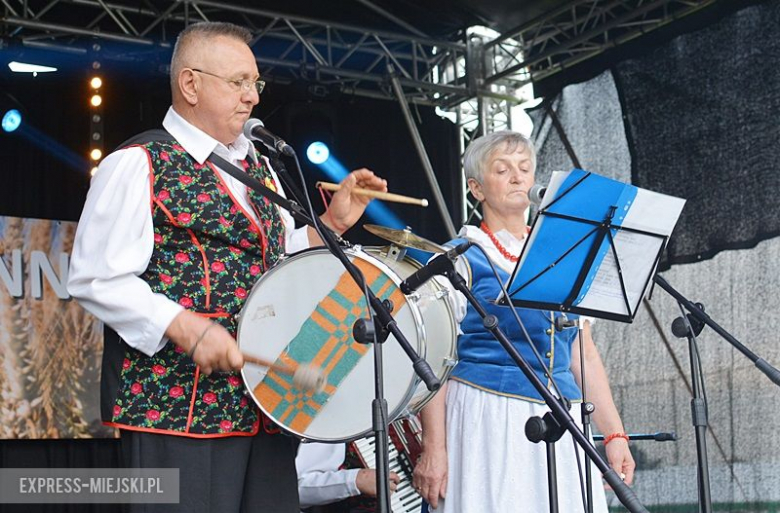 Gminne dożynki w Kostomłotach