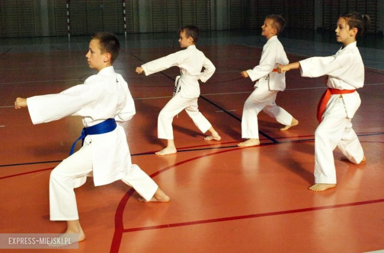 Karate Budokan sekcja Środa Śląska