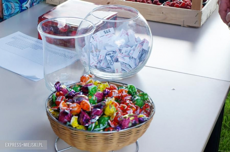 Festyn dożynkowy we Wróblowicach