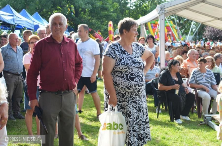 Festiwal muzyczny w Środzie Śląskiej