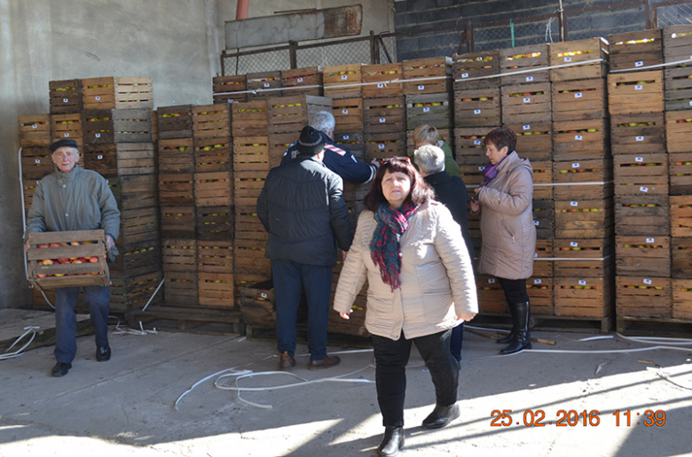 Bezpłatne jabłka dla mieszkańców Ciechowa