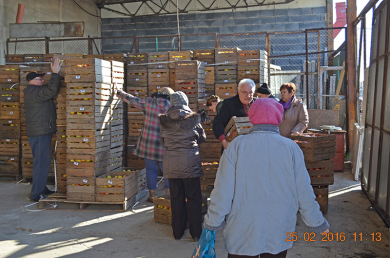 Bezpłatne jabłka dla mieszkańców Ciechowa