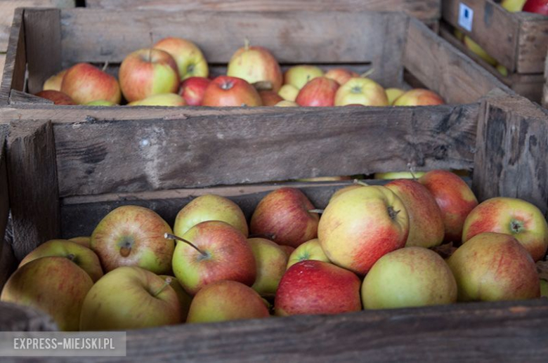 Bezpłatne jabłka dla mieszkańców Ciechowa