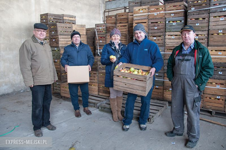 Bezpłatne jabłka dla mieszkańców Ciechowa