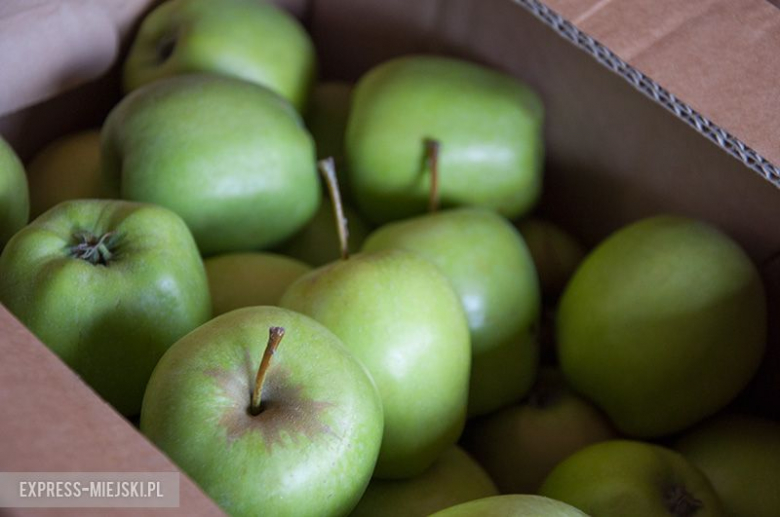 Bezpłatne jabłka dla mieszkańców Ciechowa