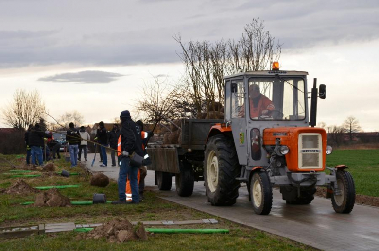 Nowe nasadzenia pomiędzy Środą Śląską a Ciechowem