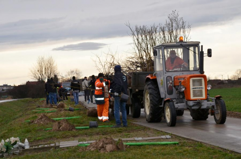 Nowe nasadzenia pomiędzy Środą Śląską a Ciechowem