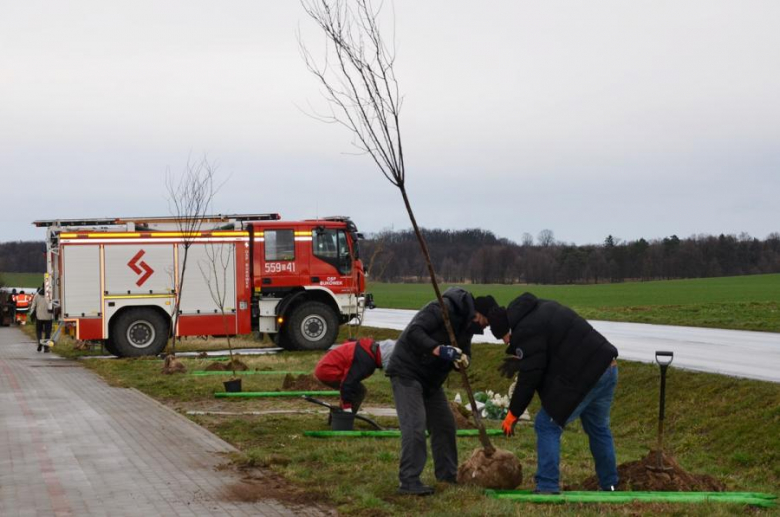 Nowe nasadzenia pomiędzy Środą Śląską a Ciechowem