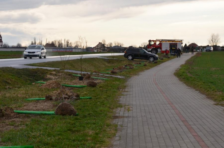 Nowe nasadzenia pomiędzy Środą Śląską a Ciechowem