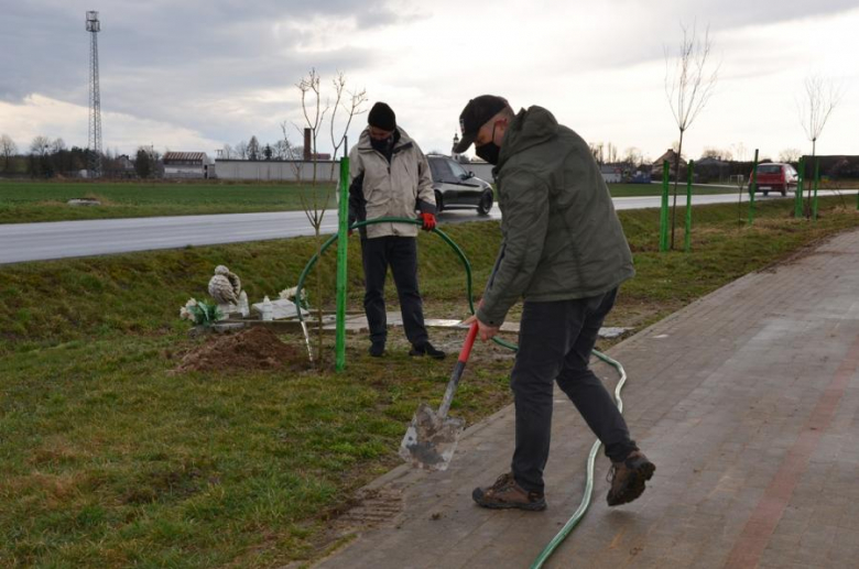 Nowe nasadzenia pomiędzy Środą Śląską a Ciechowem