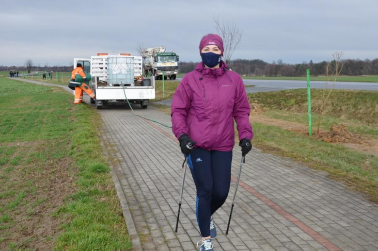 Nowe nasadzenia pomiędzy Środą Śląską a Ciechowem