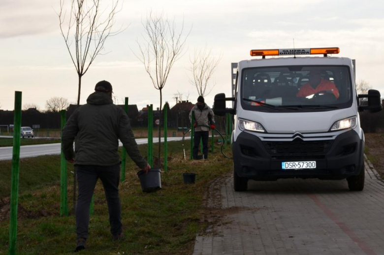 Nowe nasadzenia pomiędzy Środą Śląską a Ciechowem
