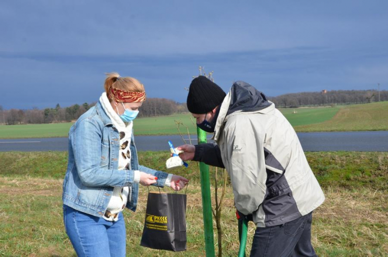 Nowe nasadzenia pomiędzy Środą Śląską a Ciechowem