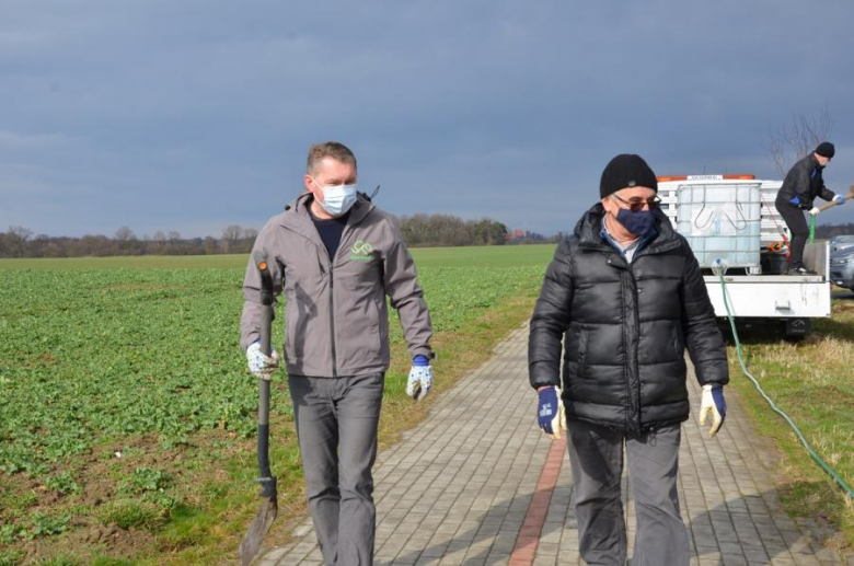 Nowe nasadzenia pomiędzy Środą Śląską a Ciechowem