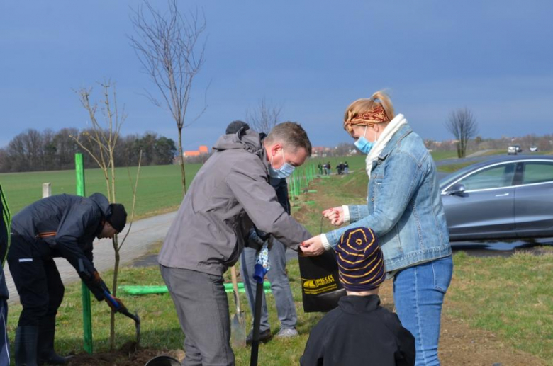 Nowe nasadzenia pomiędzy Środą Śląską a Ciechowem