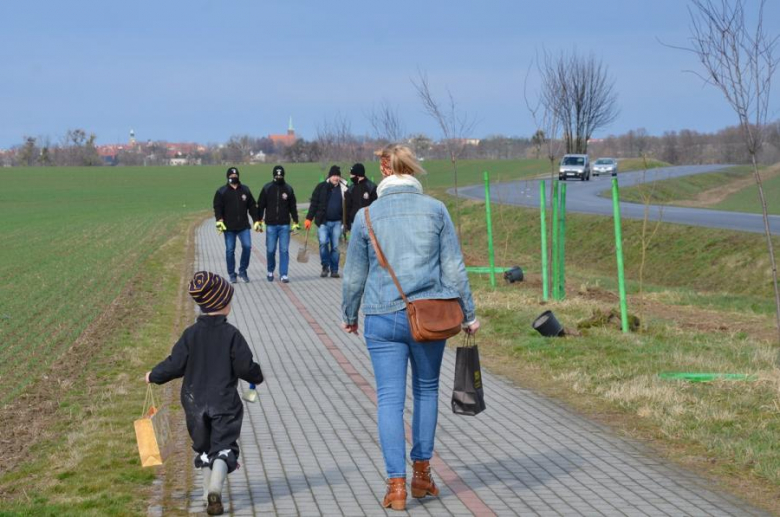 Nowe nasadzenia pomiędzy Środą Śląską a Ciechowem