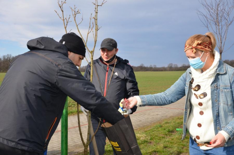 Nowe nasadzenia pomiędzy Środą Śląską a Ciechowem