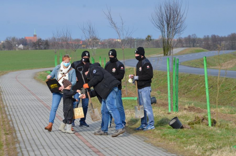 Nowe nasadzenia pomiędzy Środą Śląską a Ciechowem