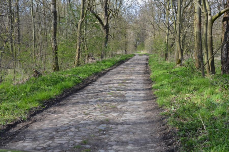 Sprzątanie odbyło się w ramach obchodzonego dzisiaj Światowego Dnia Ziemi