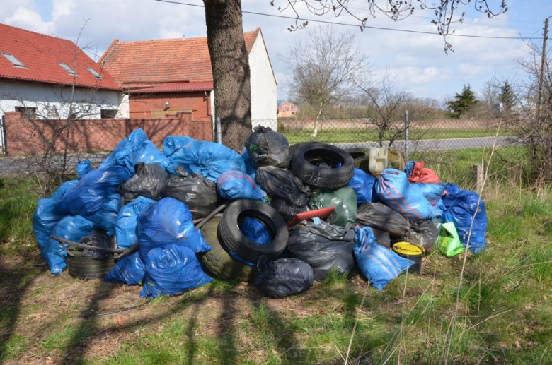 Sprzątanie odbyło się w ramach obchodzonego dzisiaj Światowego Dnia Ziemi