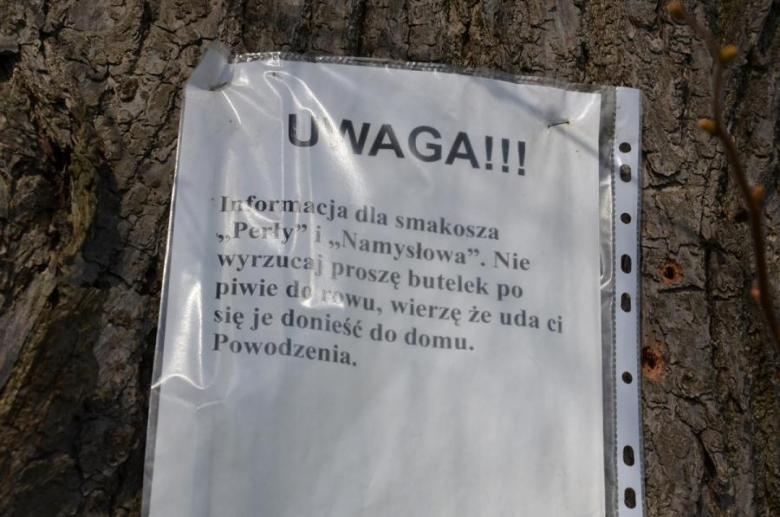 Sprzątanie odbyło się w ramach obchodzonego dzisiaj Światowego Dnia Ziemi