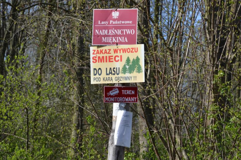 Sprzątanie odbyło się w ramach obchodzonego dzisiaj Światowego Dnia Ziemi