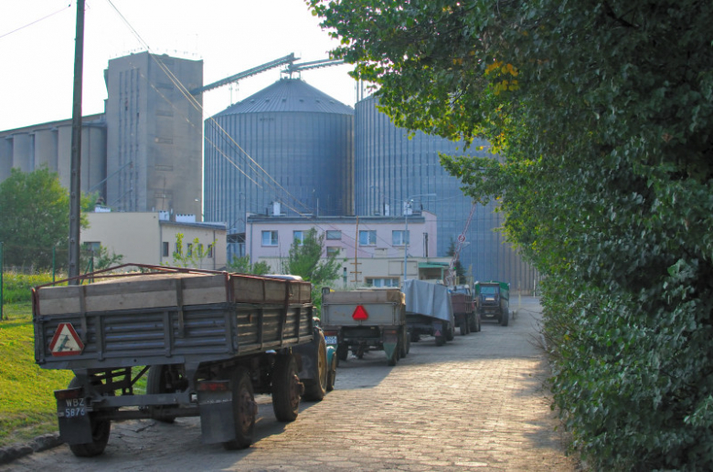 Kolejka do skupu w Ząbkowicach Śląskich