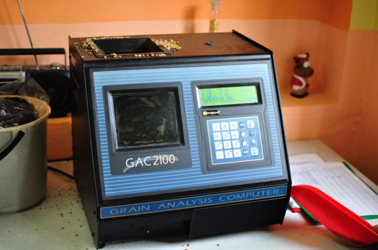 Test jakości pszenicy