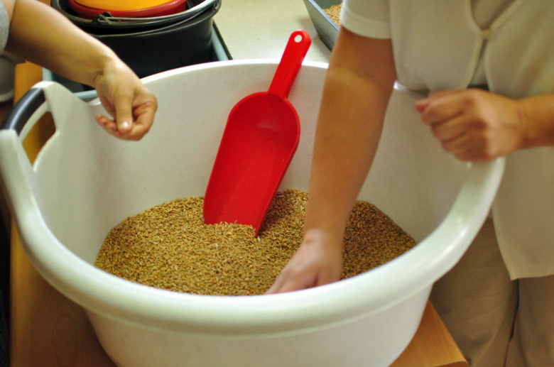 Test jakości pszenicy