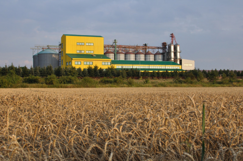 Skup zboża w Stolcu